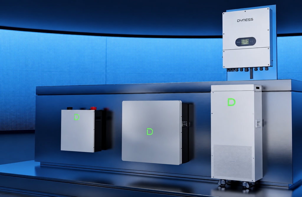 Інвертор гібридний Dyness D6.0K-LS (6 кВт, 1 фаза)